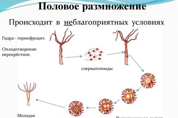 Кракен как зайти