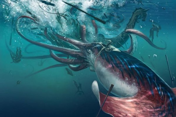 Kraken online