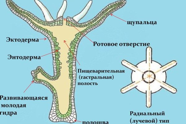 Кракен браузер