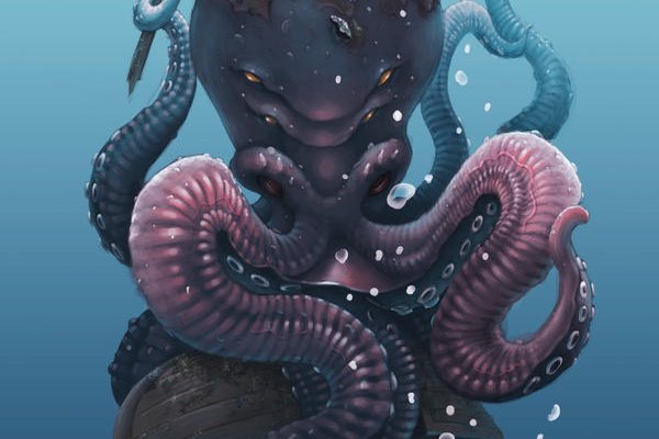 Kraken official