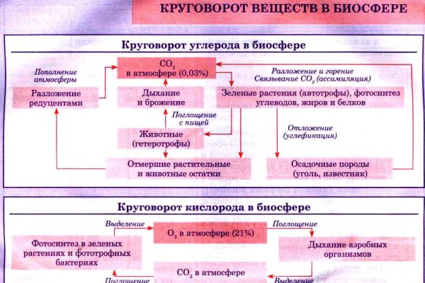 Кракен современный маркетплейс